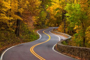 winding_road_5